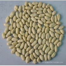 New Crop Blanched Peanut Kernel25 / 29